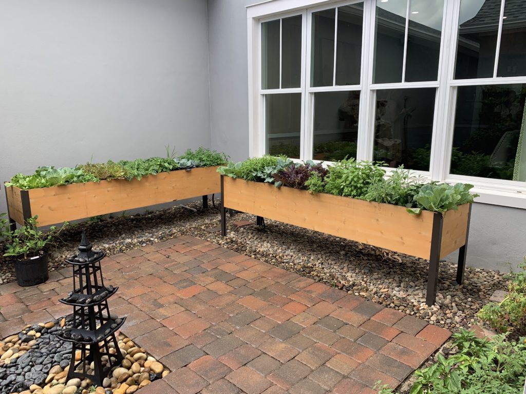 Window garden next to the Wellness Kitchen in WHIT grows herbs and fresh vegetables. Photo Credit: The Design Tourist 