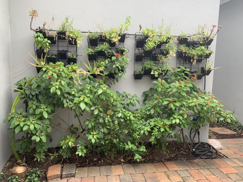 The courtyard garden in WHIT provides a source of organic edible plants for cooking. Photo Credit: The Design Tourist 