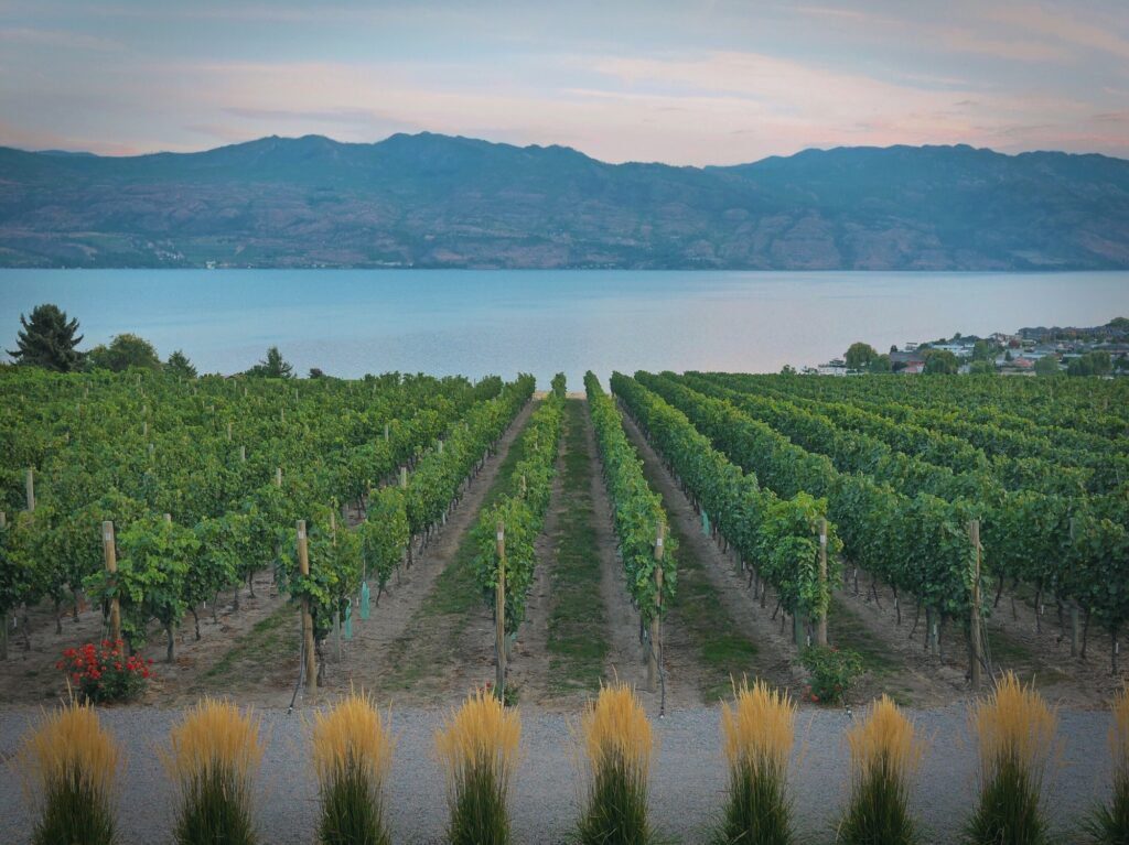 Wine country.