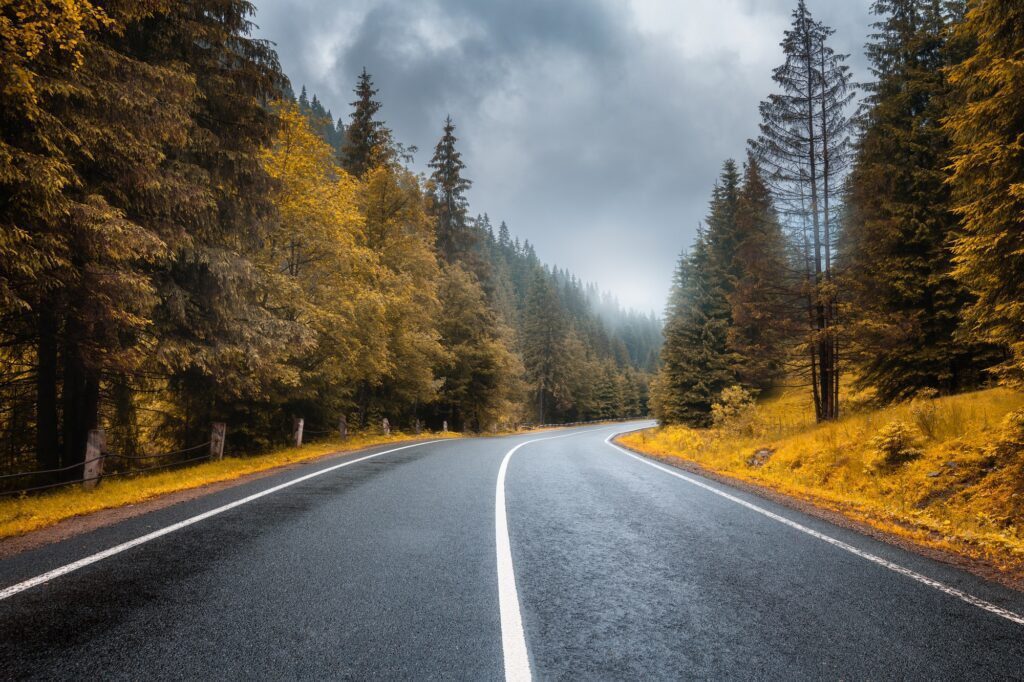 Road in autumn foggy forest at sunset in rainy day
