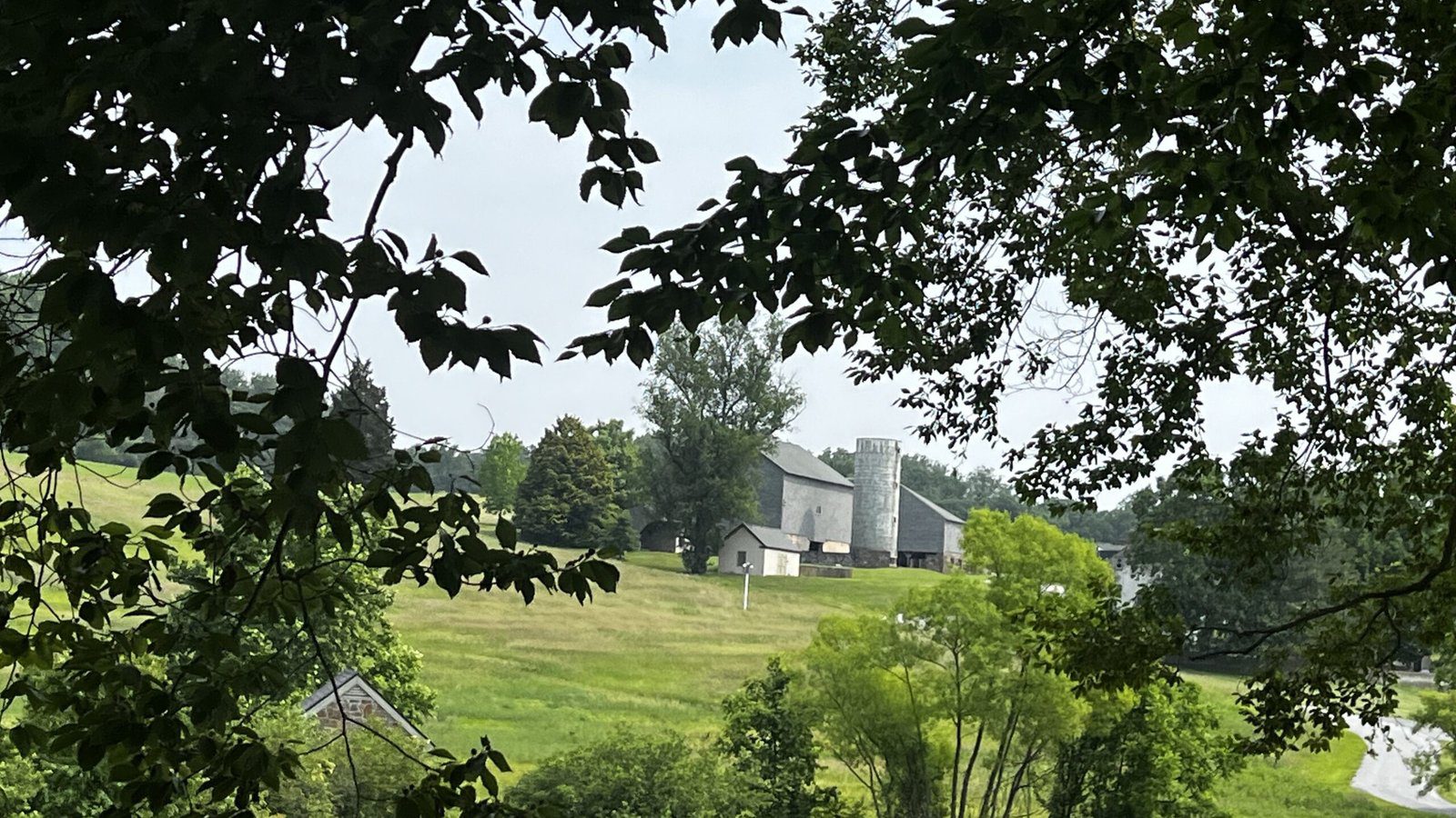 View of the meadow and barn structures at Winterthur framed by leafy trees