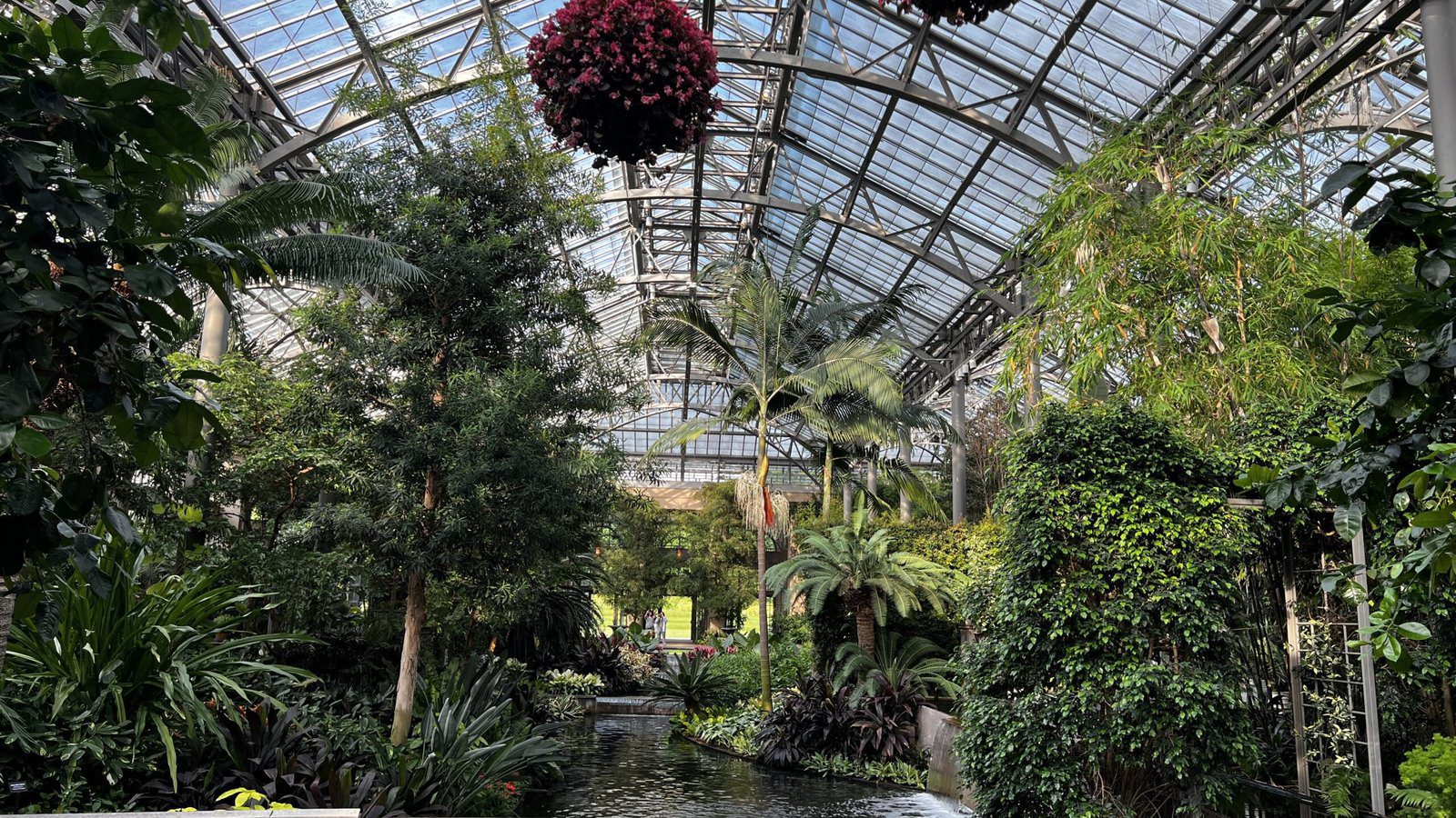 Lush tropical plants and water feature inside the glass conservatory at Longwood Gardens