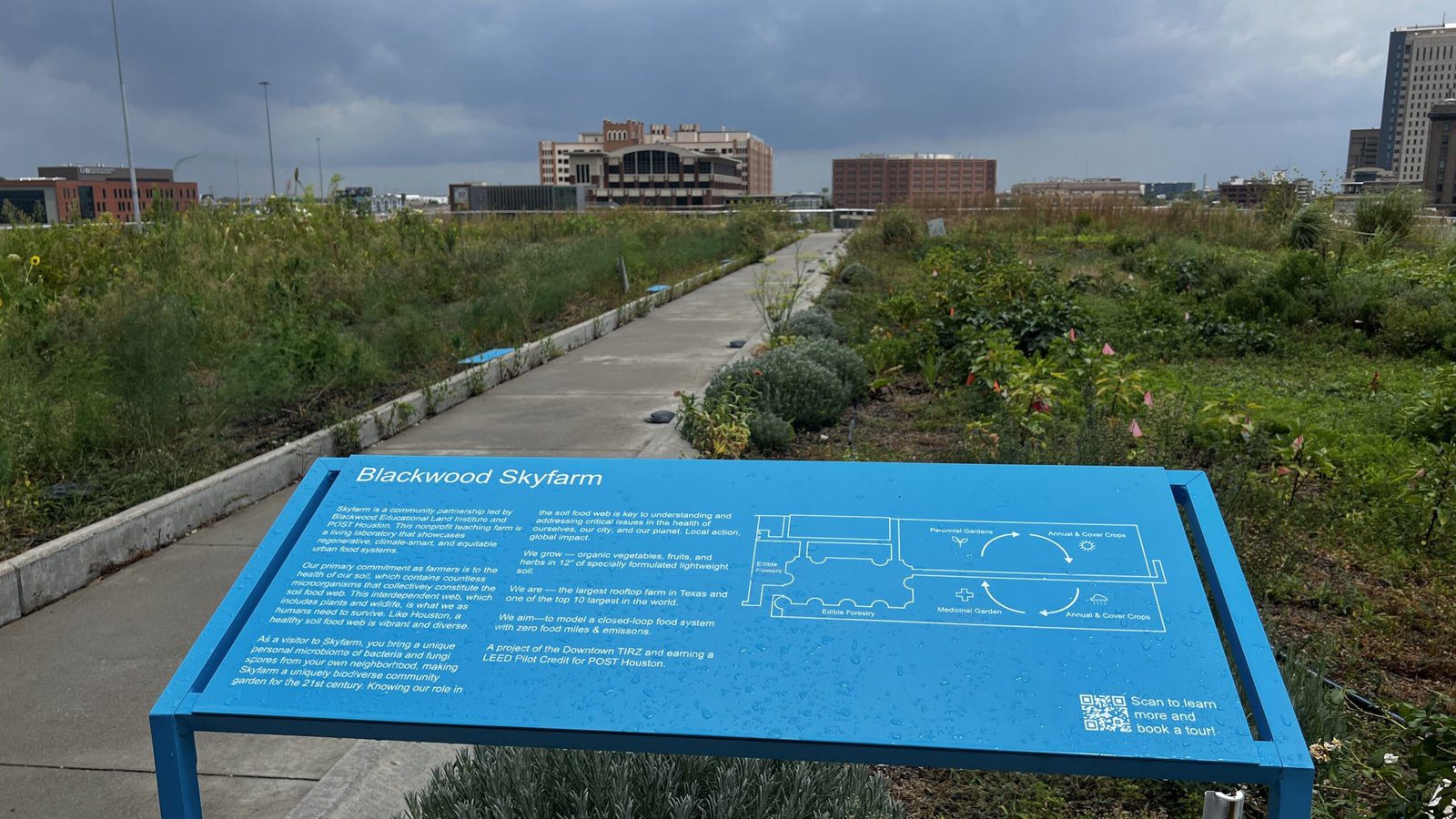 Pathway at Blackwood Skyfarm atop POST Houston, surrounded by greenery with a blue educational sign in the foreground.