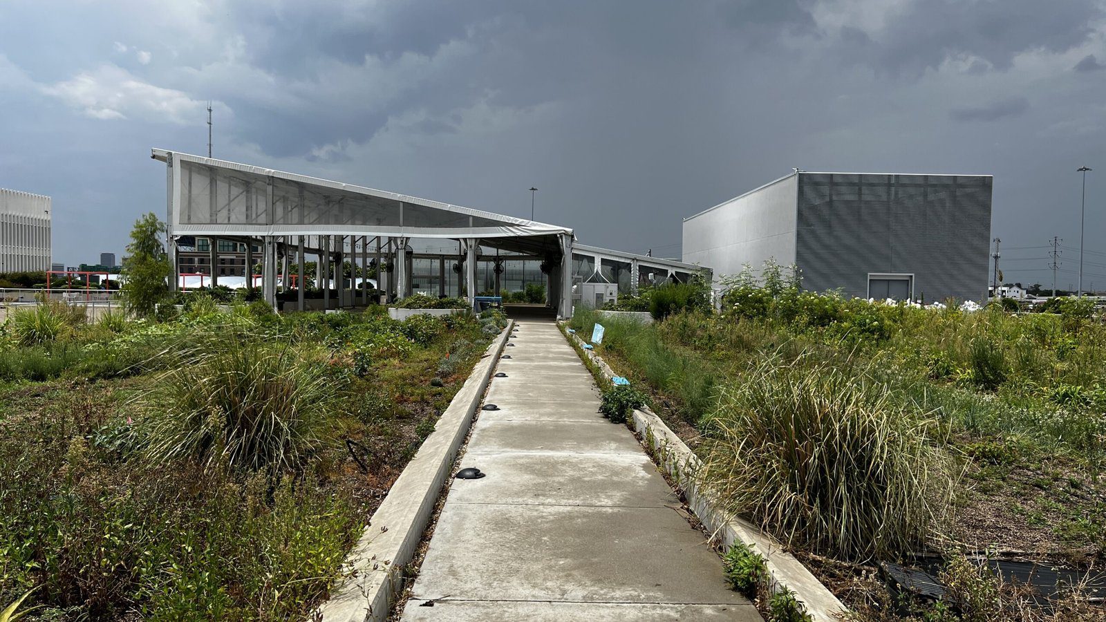 Rooftop farmland at Blackwood Skyfarm with vegetables and herbs growing in lightweight soil, framed by modern greenhouse structures.